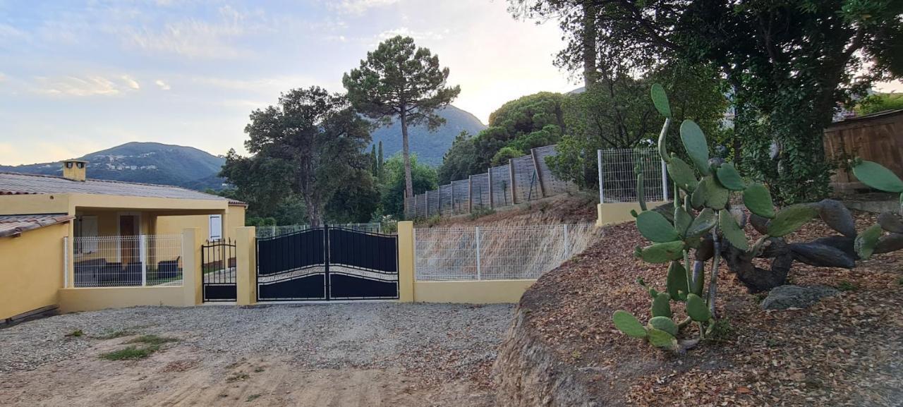 Agreable Rez De Jardin Avec Piscine Et Jacuzzi Apartment Cervione Luaran gambar